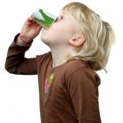 Cana - Alex Alligator