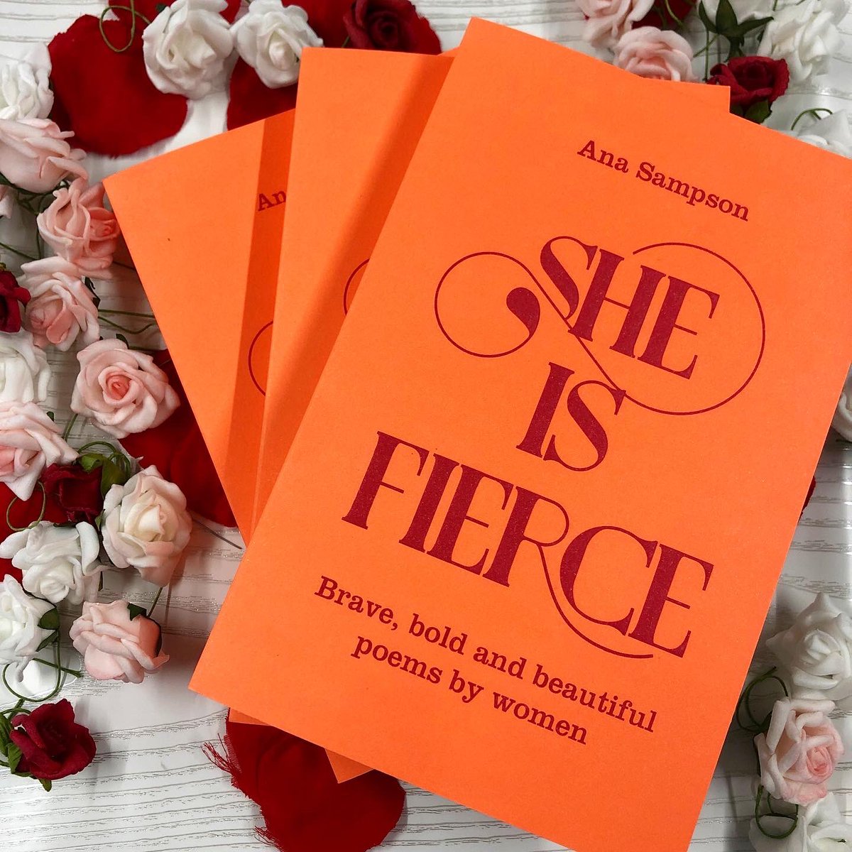 She is Fierce by Ana Sampson - Pan Macmillan