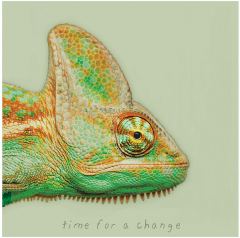 Tablou panza - Chameleon