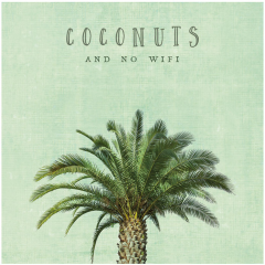 Tablou panza - Coconut