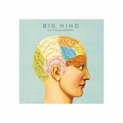 Tablou panza - Big mind