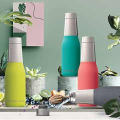 Sticla pentru apa - Stainless Steel Peach