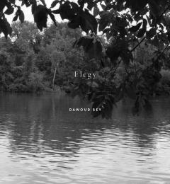 Coperta cărții Dawoud Bey - Elegy
