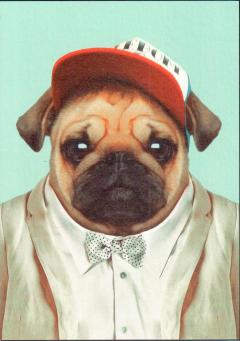 Carte postala - Pug / Zoo Portraits