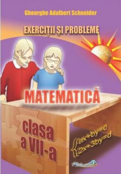 Matematica - Clasa 7 - Exercitii si probleme