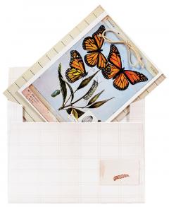 Felicitare - The Butterflies of Titian Ramsay Peale - mai multe modele