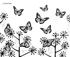 The Butterfly Garden