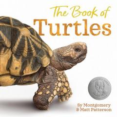Coperta cărții Book of Turtles