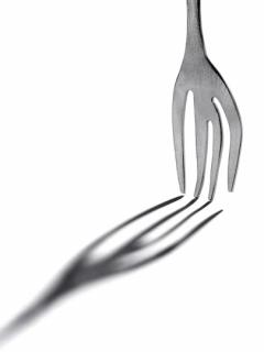 Furculita- Roos van de Velde