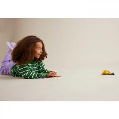 LEGO Ninjago - Atacul dragonului lui Arin (71803)