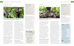 The Complete Guide to Vegetable Gardening