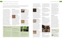 The Complete Guide to Vegetable Gardening