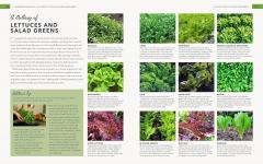 The Complete Guide to Vegetable Gardening
