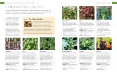 The Complete Guide to Vegetable Gardening
