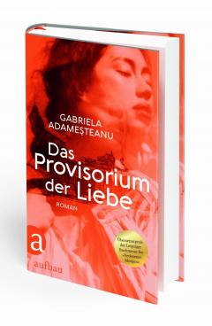 Das Provisorium der Liebe