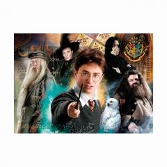 Puzzle 500 piese - Harry Potter