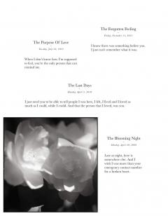 I Wrote This for You: 2007-2017