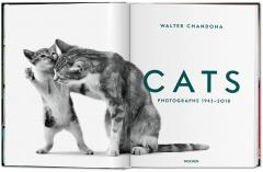 Cats. Photographs 1942-2018