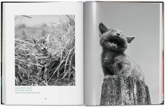 Cats. Photographs 1942-2018
