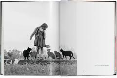Cats. Photographs 1942-2018