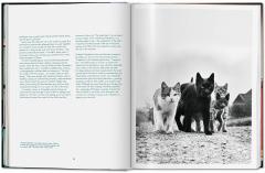 Cats. Photographs 1942-2018
