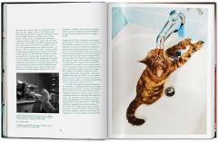 Cats. Photographs 1942-2018