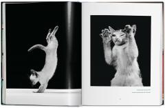 Cats. Photographs 1942-2018