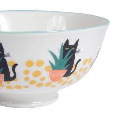 Bol mare Chamouf - Cactus