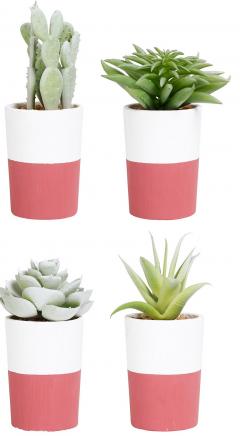 Ghiveci decorativ - Modele diferite