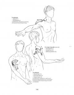 Anatomie pentru miscare