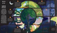 Ciclul vietii - O calatorie despre evolutia naturii