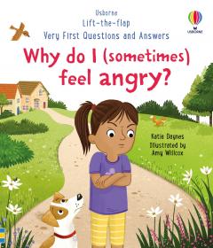 Why Do I (Sometimes) Feel Angry?