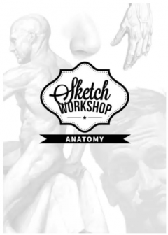 Sketch Workshop: Anatomy