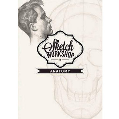 Sketch Workshop: Anatomy