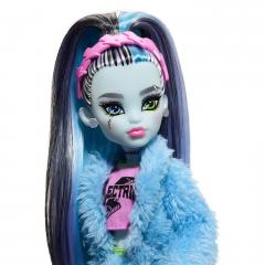 Papusa Monster High - Creepover Party Frankie