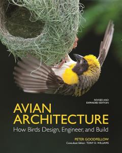 Coperta cărții Avian Architecture