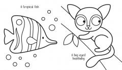 My Big Animal Colouring Book