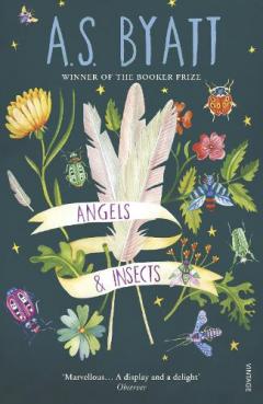 Coperta cărții Angels And Insects