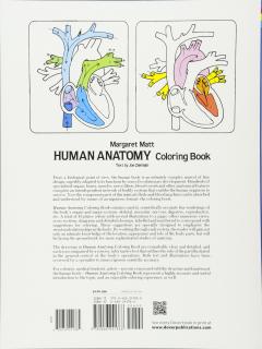 Human Anatomy Coloring Book