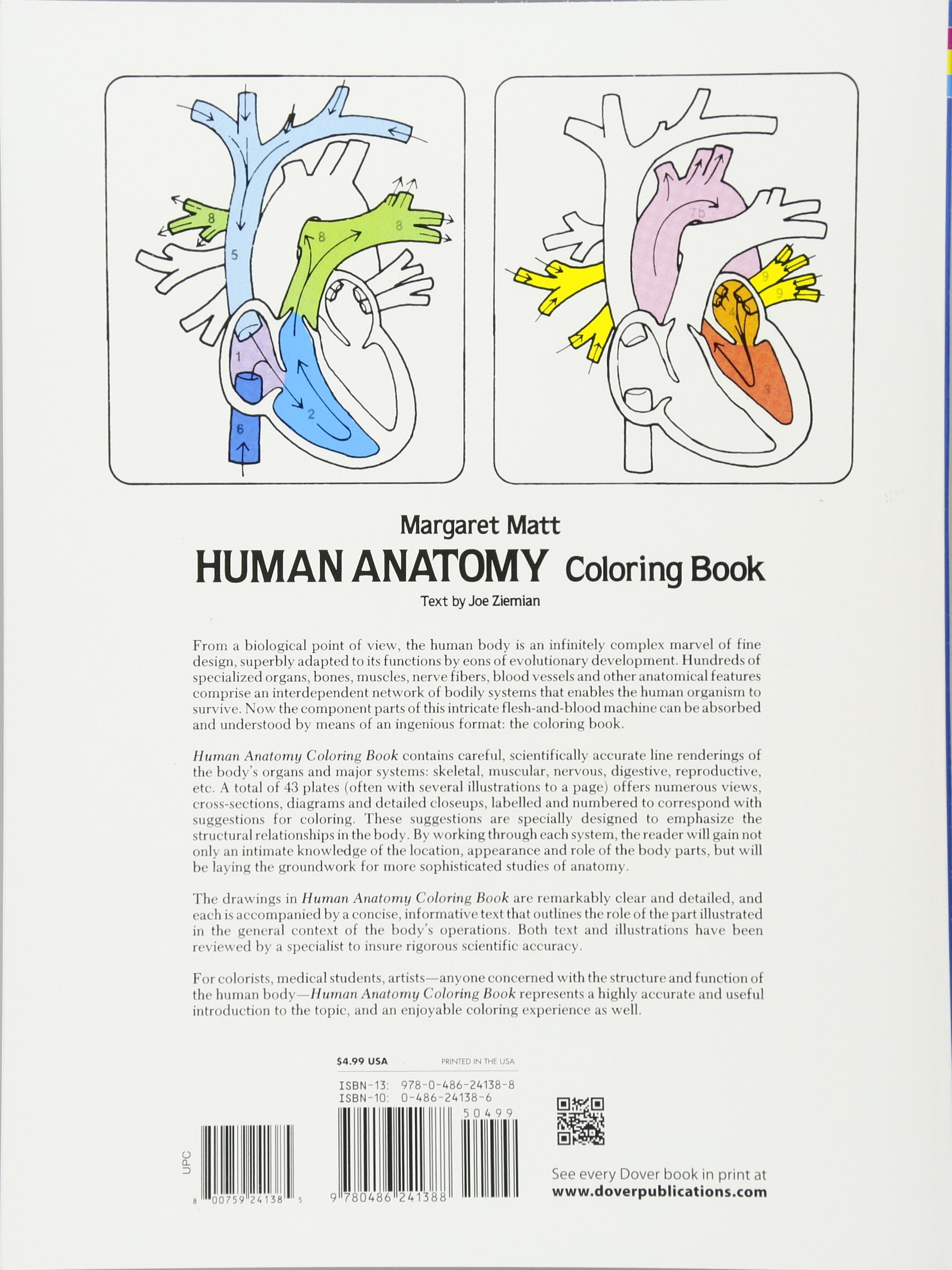 Human Anatomy Coloring Book Margaret Matt, Joe Ziemian