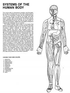 Human Anatomy Coloring Book - Margaret Matt, Joe Ziemian