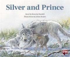 Coperta cărții SILVER AND PRINCE
