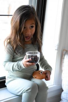 Recipient hrana bebe - Melii - Model urs