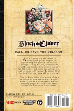 Black Clover - Volume 17