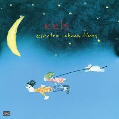 Electro-Shock Blues - Vinyl