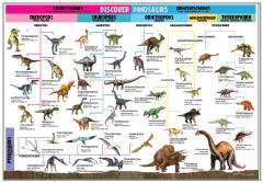 Model Set - Discover Dinosaurs