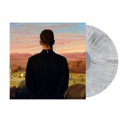 Everything I Thought I Was (Silver With Black Streaks Vinyl)