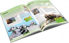 Enciclopedie. Primate