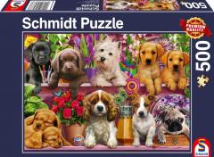 Puzzle 500 piese - Puppies on the Shelf