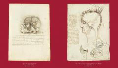 Leonardo da Vinci and Anatomy The Mechanics of Life